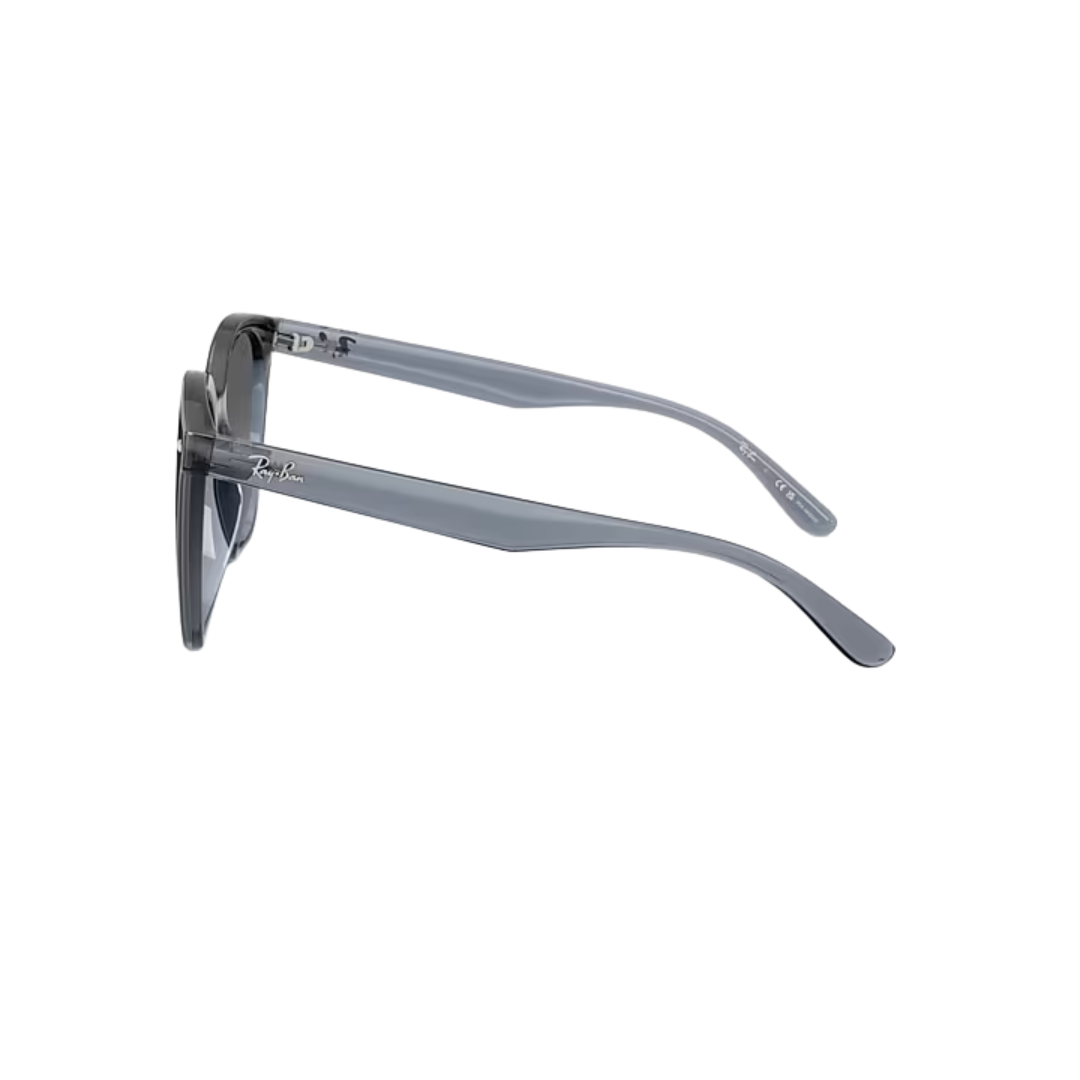 Ray Ban RB4423D Sunglasses
