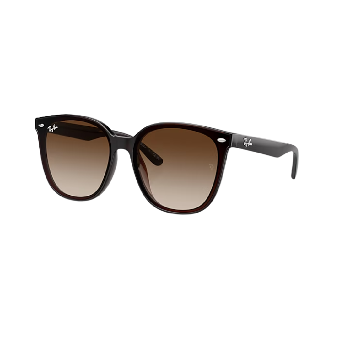 Ray Ban RB4423D Sunglasses