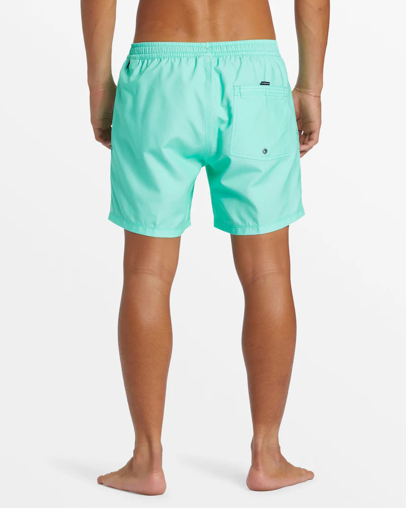 Quiksilver Men's Everyday Solid Volley 15" Boardshorts