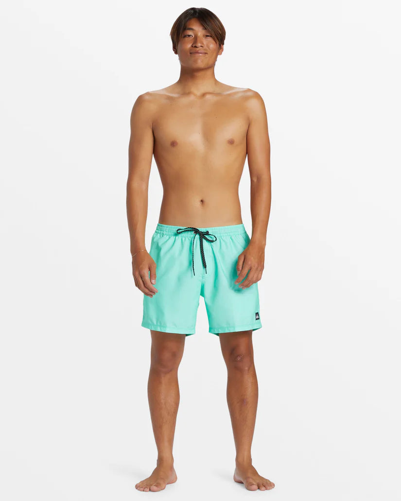 Quiksilver Men's Everyday Solid Volley 15" Boardshorts
