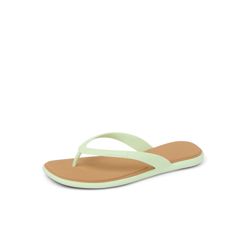 Reef Reef Women Water Willow Malibu Sandal - Ambrosia/Tan Ambrosia/Tan 7 Womens Sandals Flip Flop 5 to 11