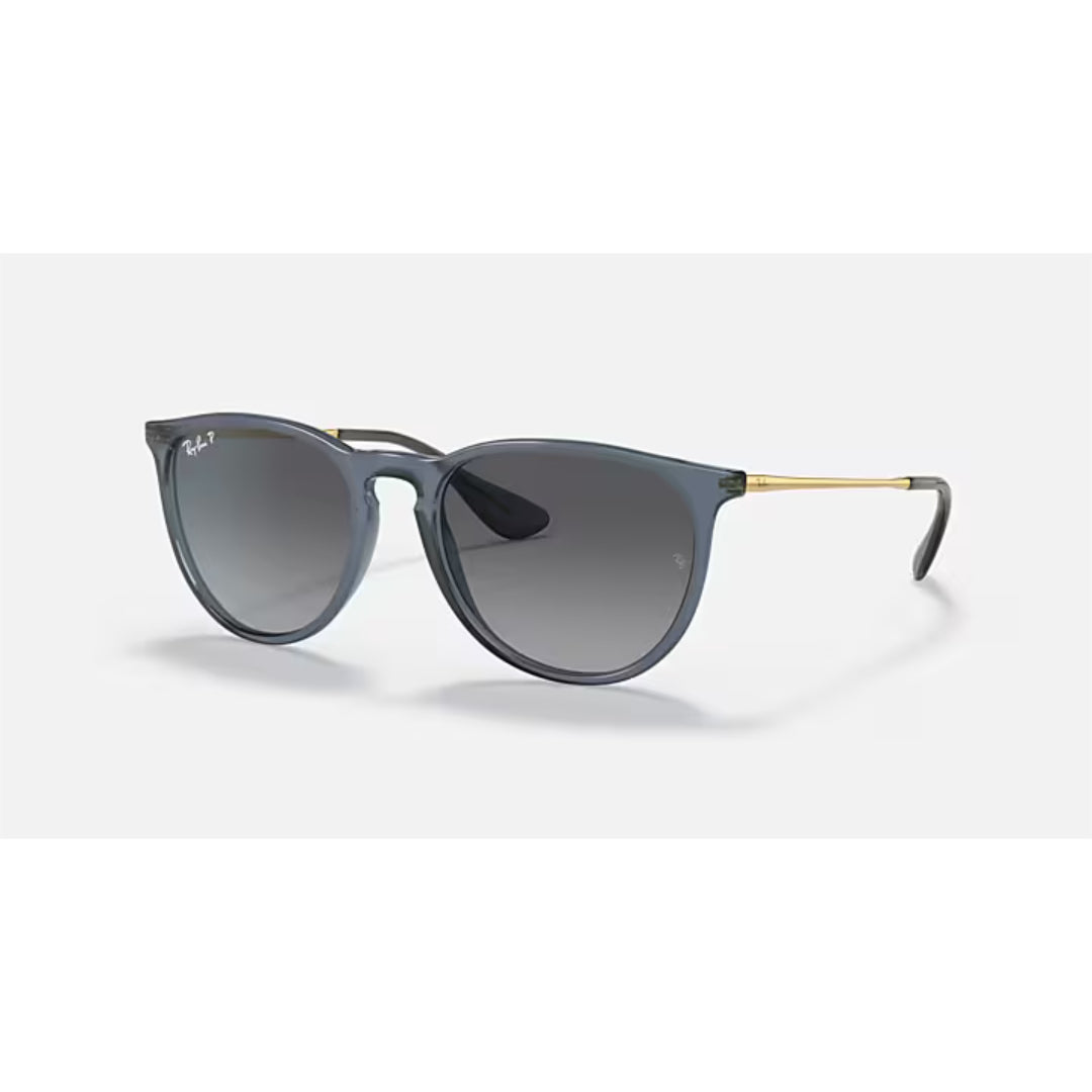 Ray Ban Ray Ban Erika - Unisex Sunglasses Mens Sunglasses Lifestyle