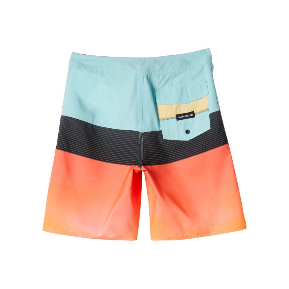 Quiksilver Everyday Panel 17" Boardshort for Boys 8-16