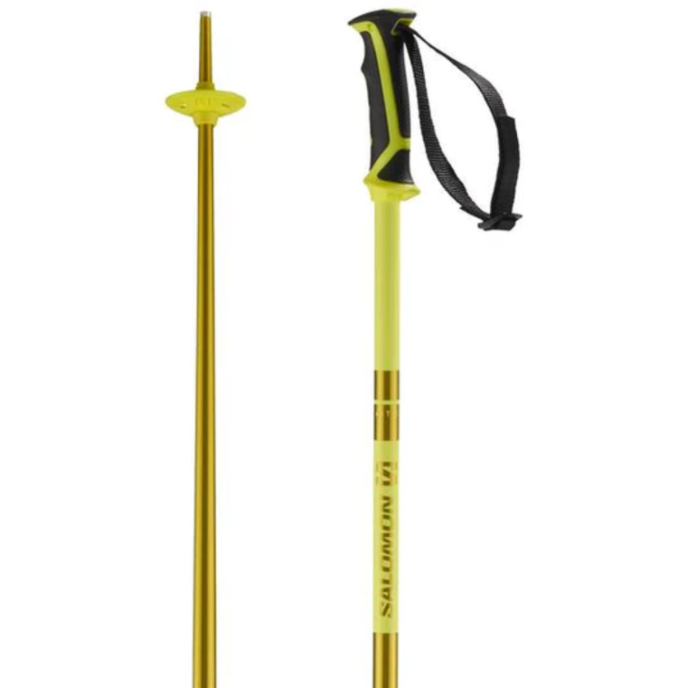 Bâton de ski arctique Salomon