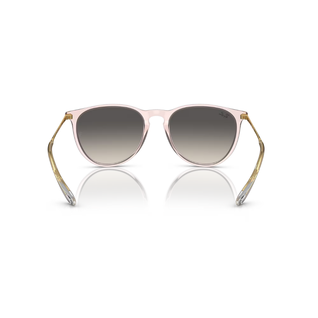 Ray Ban Ray Ban Erika - Unisex Sunglasses - Transparent Pink, Grey Gradient Mens Sunglasses Lifestyle