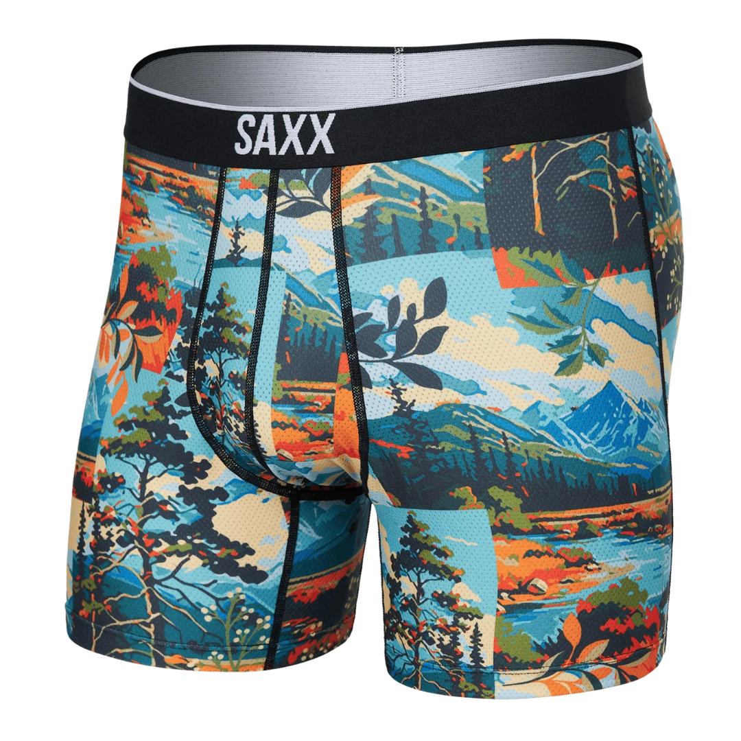 Calzoncillos bóxer SAXX Volt para hombre - Paisaje pintado/Multicolor