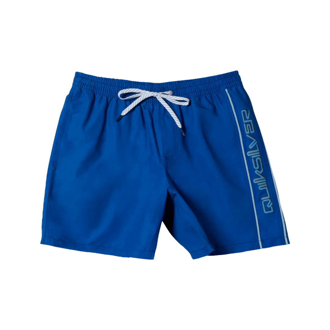 Quiksilver  Men's Everyday Vert Volley 2 17NB Shorts