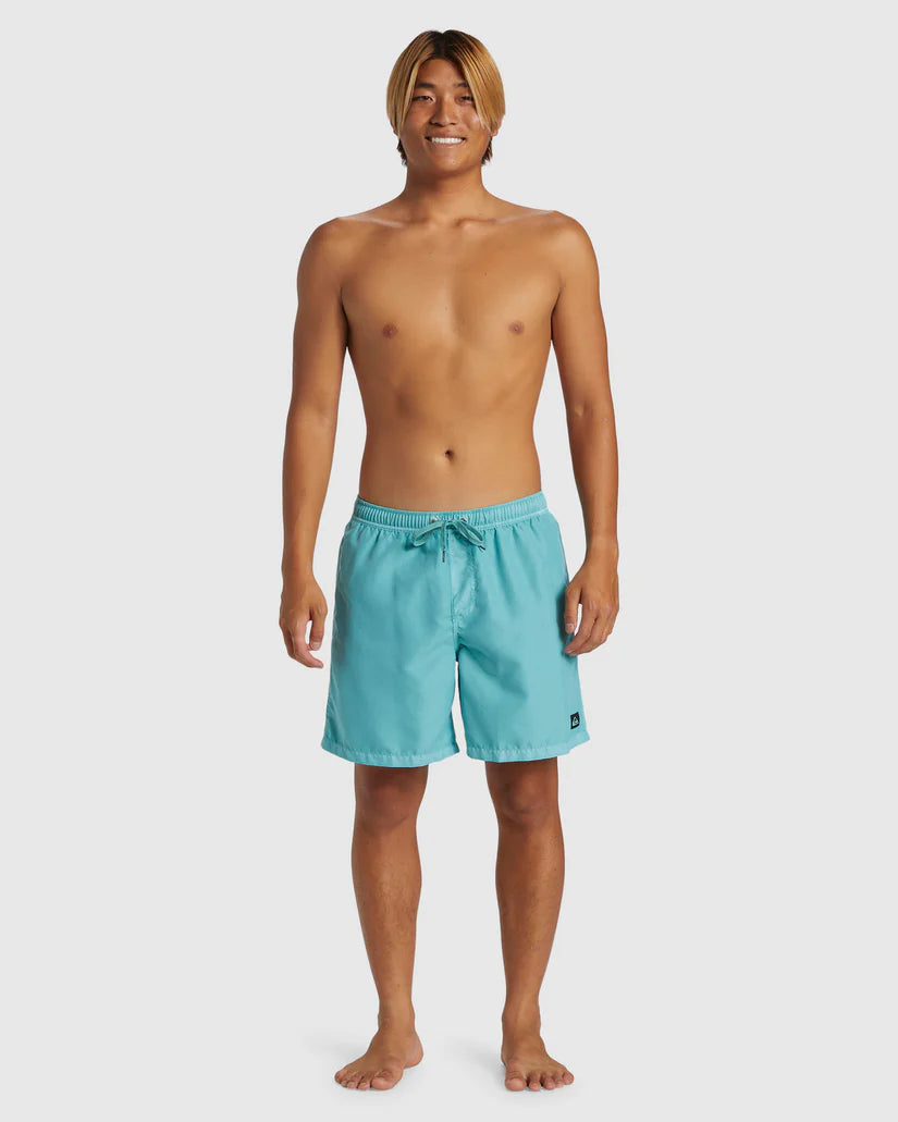 Quiksilver Quiksilver Men's Everyday Surfwash Volley 17" Shorts Marine Blue S Mens Elastic Swim Trunks