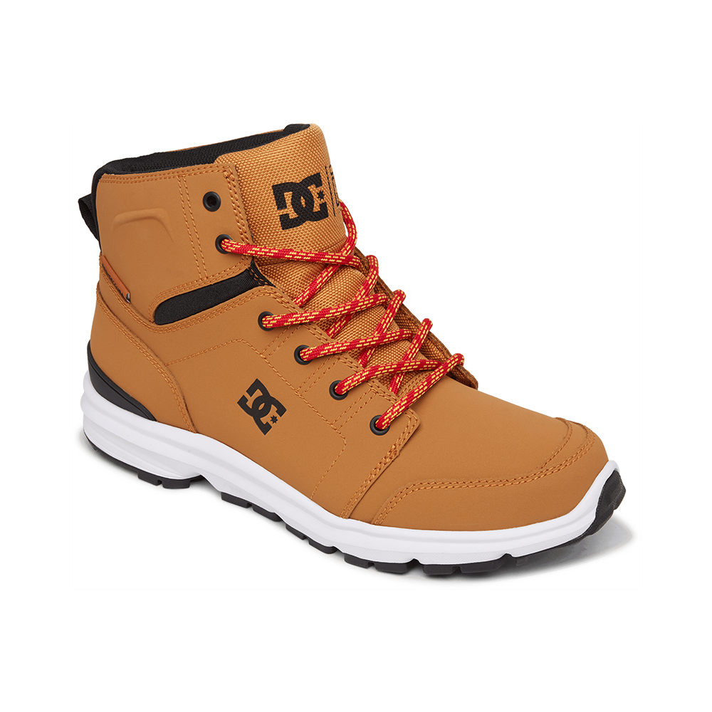 DC Shoes - Torstein