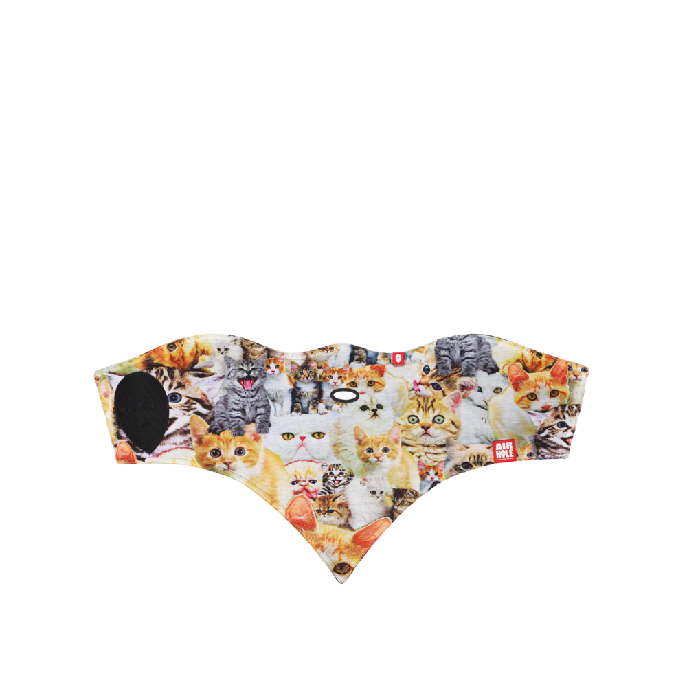 Masques faciaux à 2 couches standard Airhole