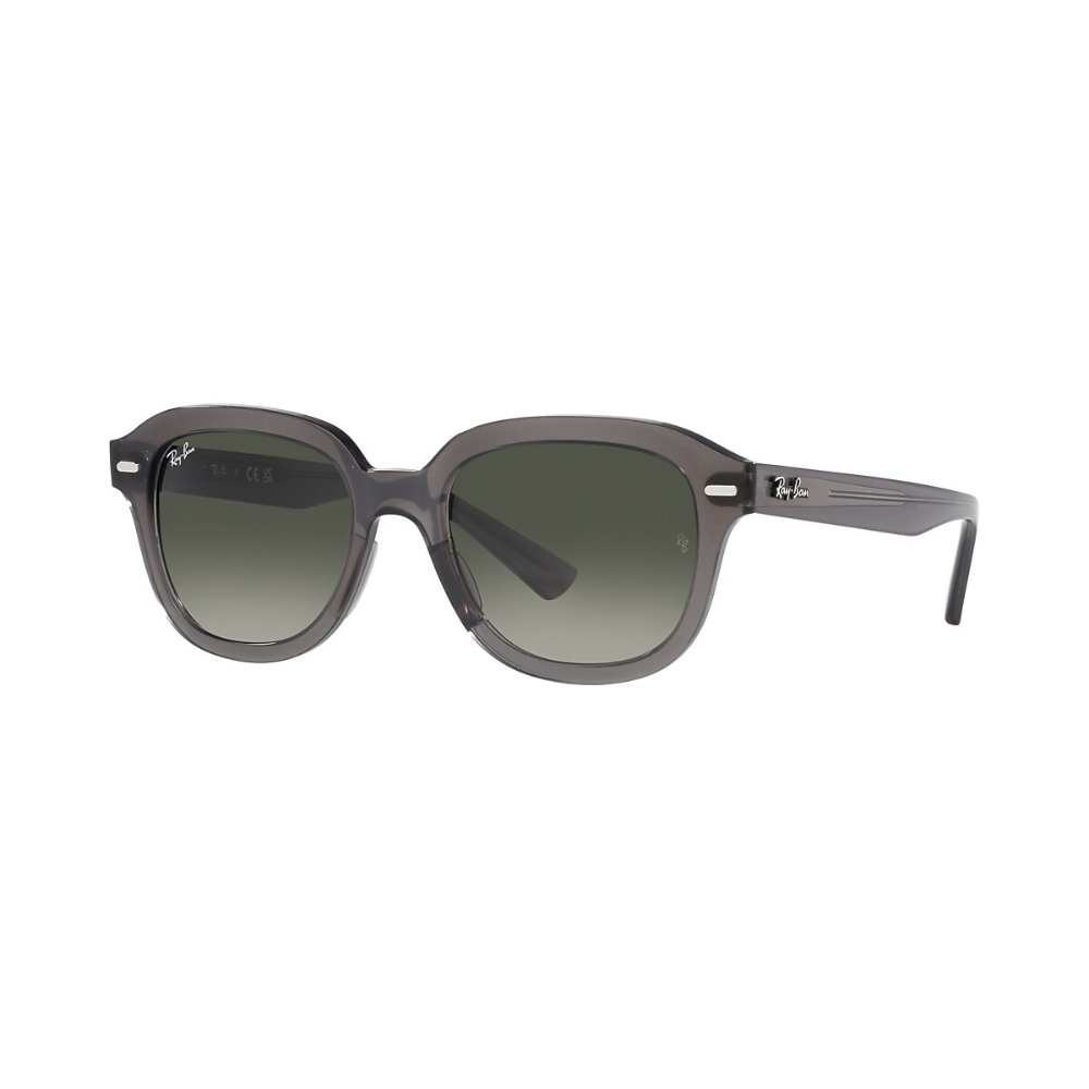 Ray Ban Erik Sunglasses