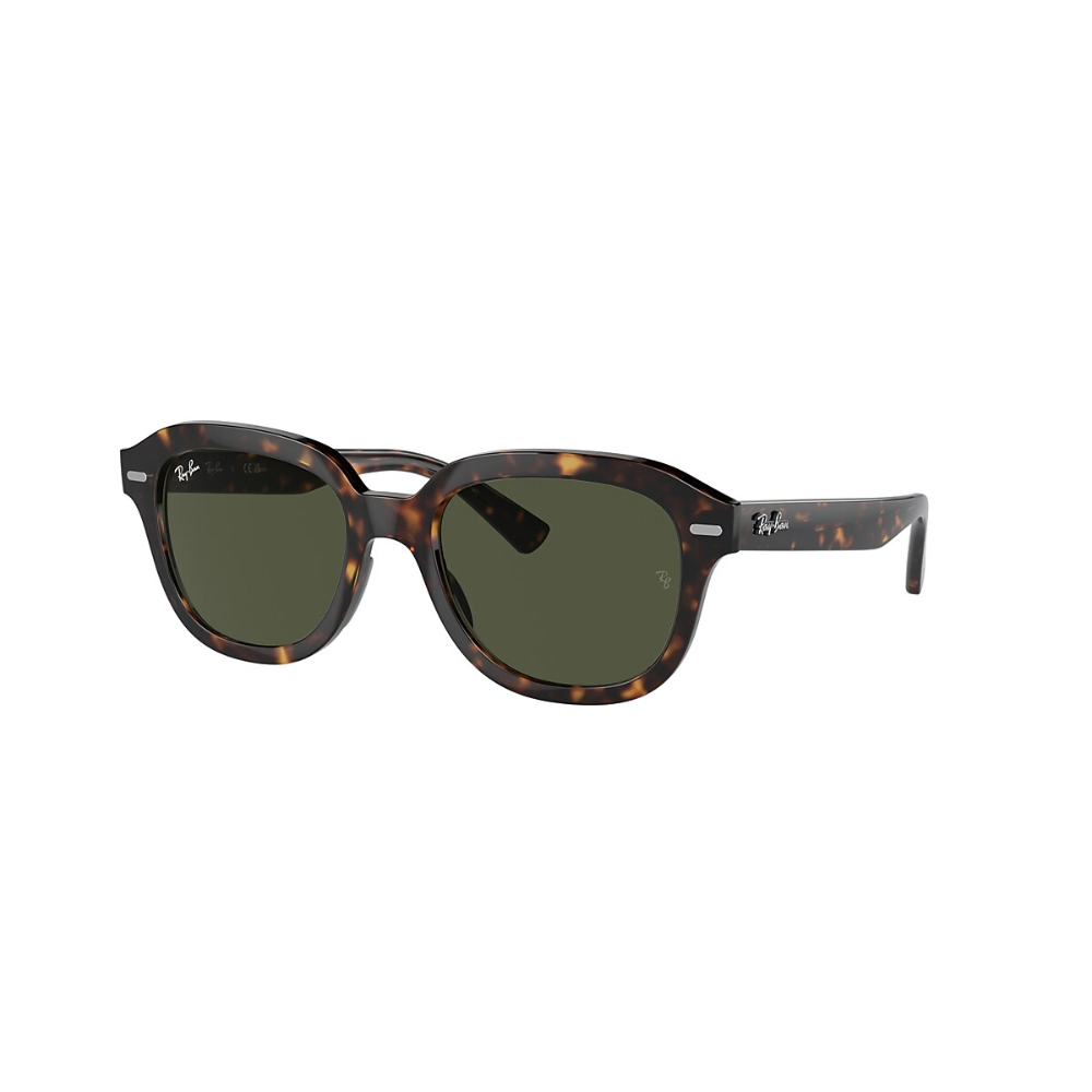 Ray Ban Erik Sunglasses