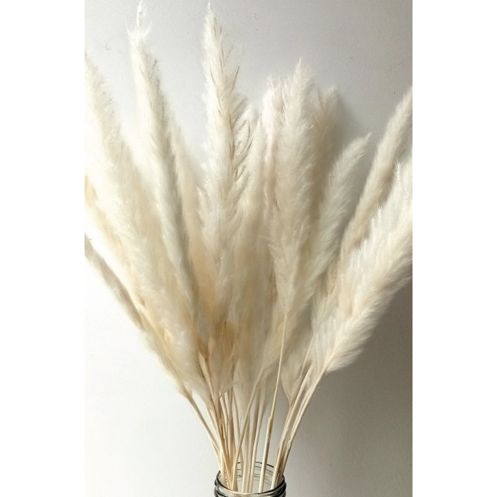 Pampas de Capri