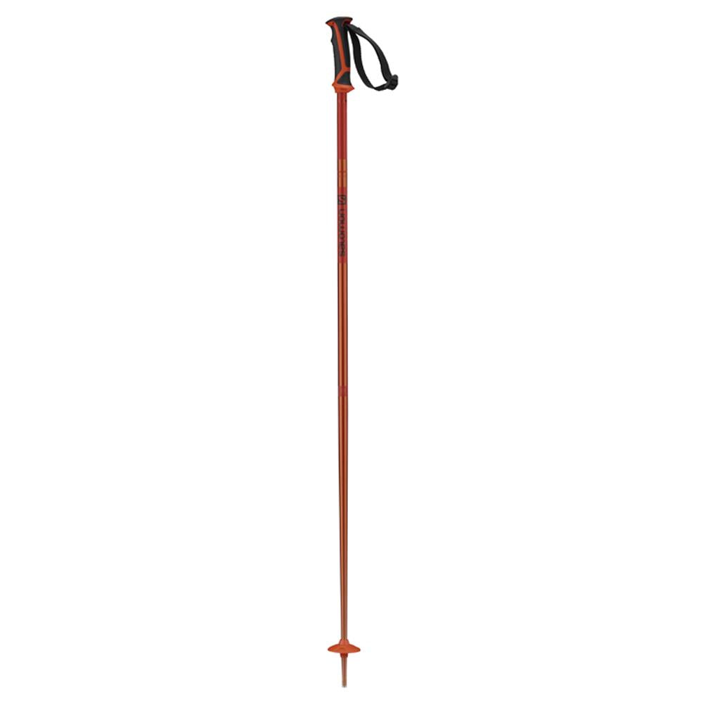 l40559000 salomon artic poles black