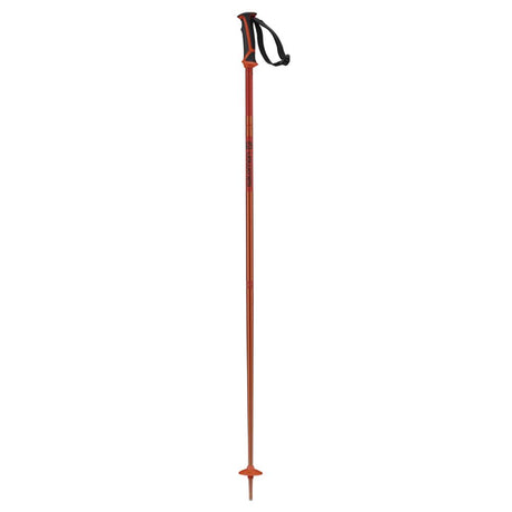 l40559000 salomon artic poles black