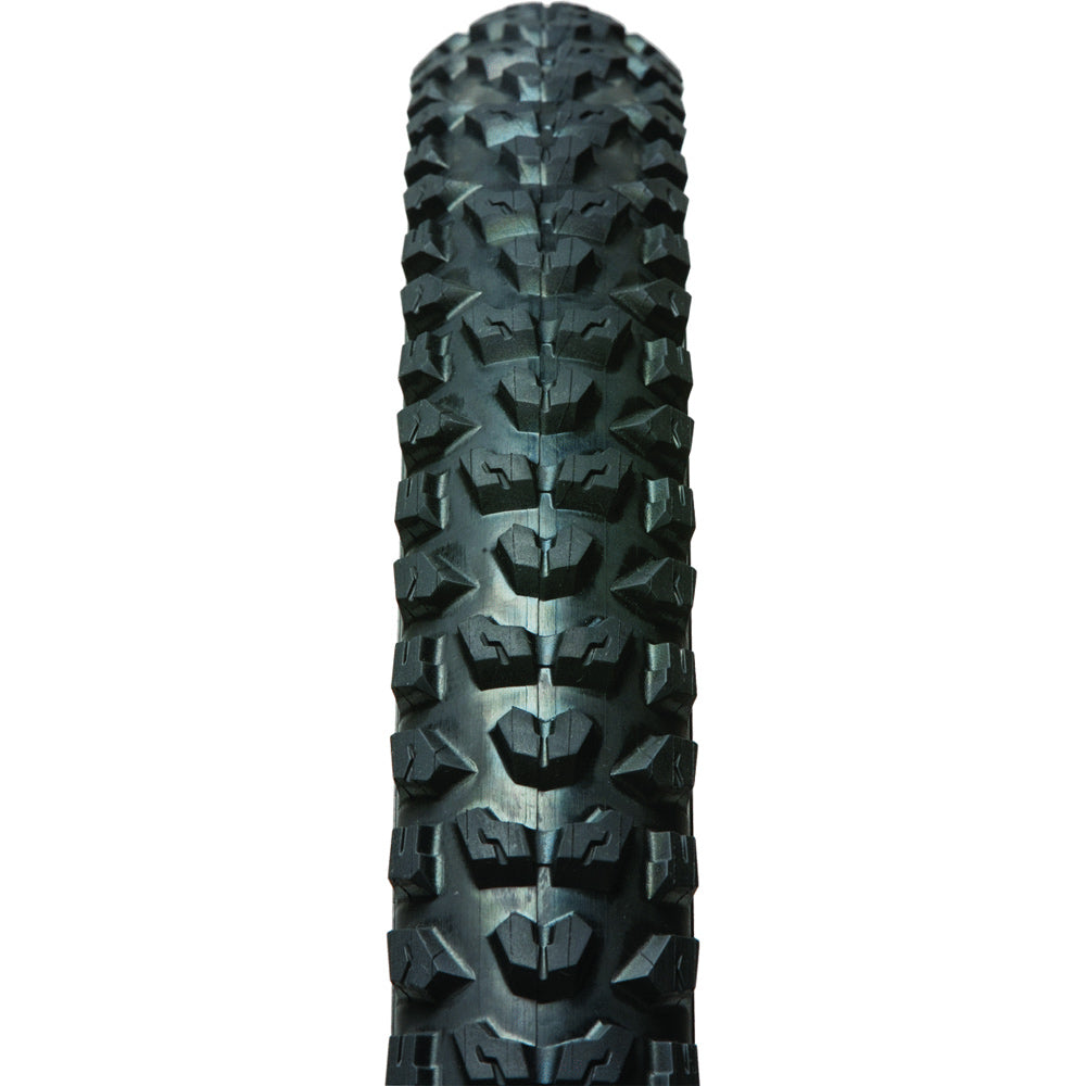 Panaracer Swoop Tire