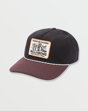 Billabong Billabong Men's Adiv Strapback Hat Vintage Brown