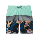 Quiksilver Quiksilver Everyday Panel 17" Boardshort for Boys 8-16 Irongate 24 Youth Boys (8-12) Boardshorts