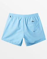 Quiksilver Men's Everyday Solid Volley 15" Boardshorts