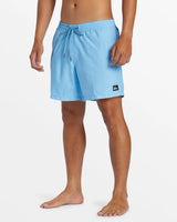 Quiksilver Men's Everyday Solid Volley 15" Boardshorts