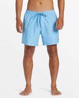 Quiksilver Men's Everyday Solid Volley 15" Boardshorts