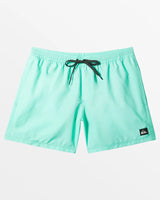 Quiksilver Men's Everyday Solid Volley 15" Boardshorts