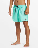 Quiksilver Men's Everyday Solid Volley 15" Boardshorts