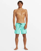 Quiksilver Men's Everyday Solid Volley 15" Boardshorts