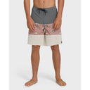 Billabong Billabong Men's Tribong Pro 19" Boardshorts - Ash Rose Ash Rose 28 Mens Board Shorts
