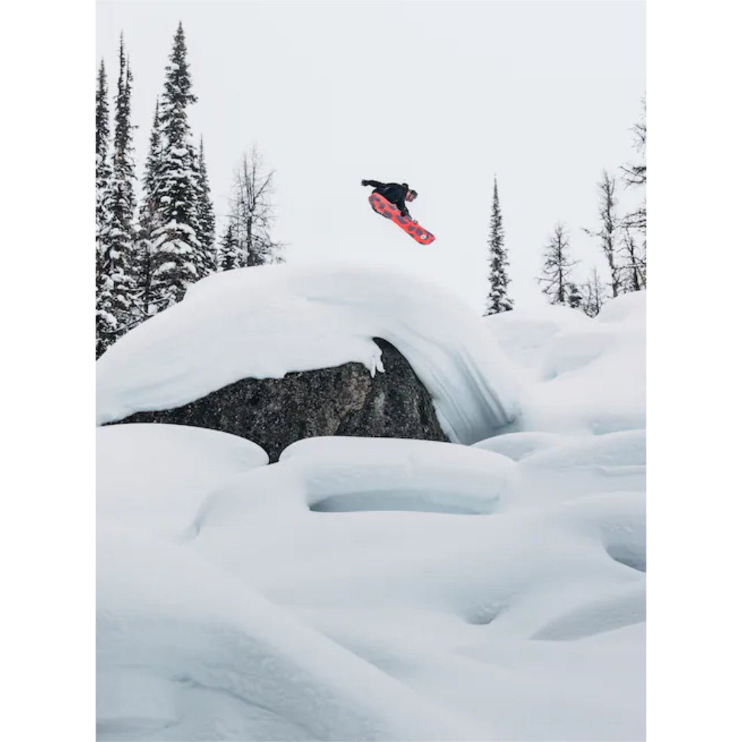 Burton Men's Family Tree Hometown Hero Snowboard - Multi – shopnomads