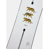 Burton Men's Process Experience Snowboard