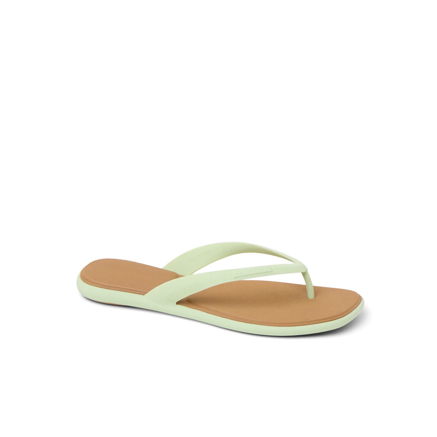 Reef Reef Women Water Willow Malibu Sandal - Ambrosia/Tan Ambrosia/Tan 7 Womens Sandals Flip Flop 5 to 11