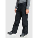 Quiksilver Quiksilver Men's Porter Pant Sea Spray