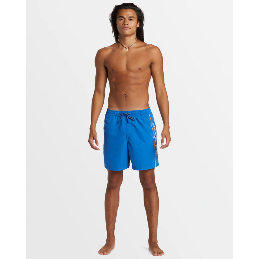 Quiksilver Quiksilver  Men's Everyday Vert Volley 2 17NB Shorts Black S Mens Elastic Swim Trunks