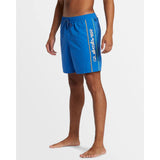 Quiksilver Quiksilver  Men's Everyday Vert Volley 2 17NB Shorts Black S Mens Elastic Swim Trunks