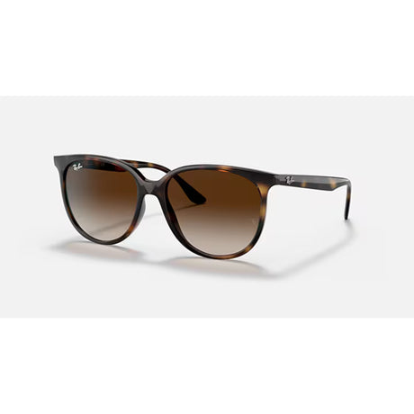 Ray Ban Ray Ban Havana Sunglasses Mens Sunglasses Lifestyle