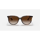 Ray Ban Ray Ban Havana Sunglasses Mens Sunglasses Lifestyle