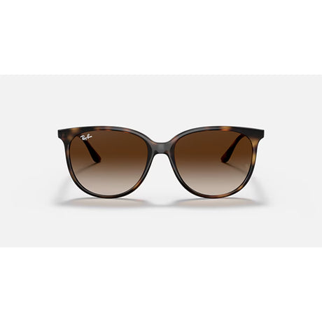Ray Ban Ray Ban Havana Sunglasses Mens Sunglasses Lifestyle