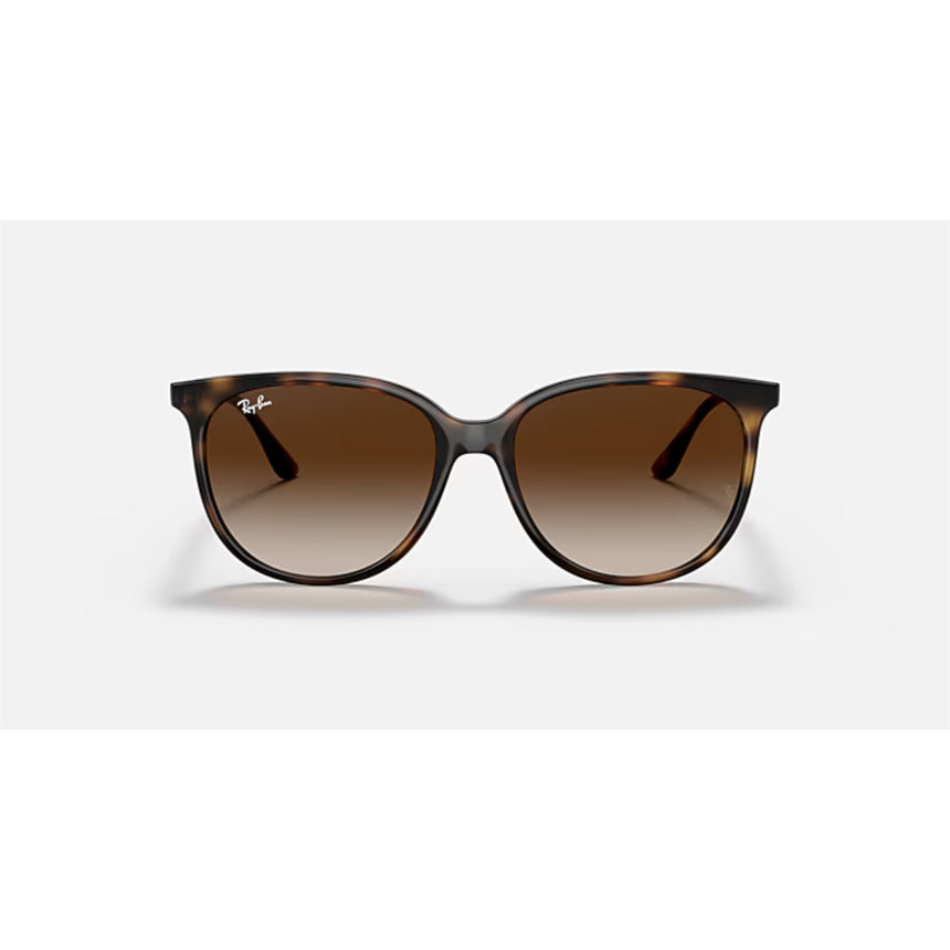 Ray Ban Ray Ban Havana Sunglasses Mens Sunglasses Lifestyle