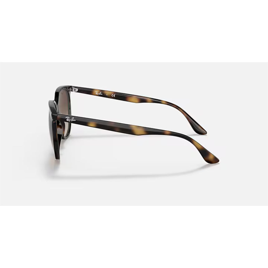 Ray Ban Ray Ban Havana Sunglasses Mens Sunglasses Lifestyle