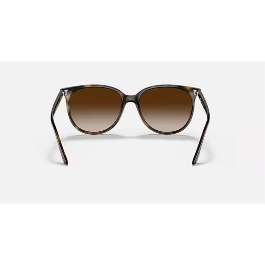 Ray Ban Ray Ban Havana Sunglasses Mens Sunglasses Lifestyle