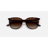 Ray Ban Ray Ban Havana Sunglasses Mens Sunglasses Lifestyle