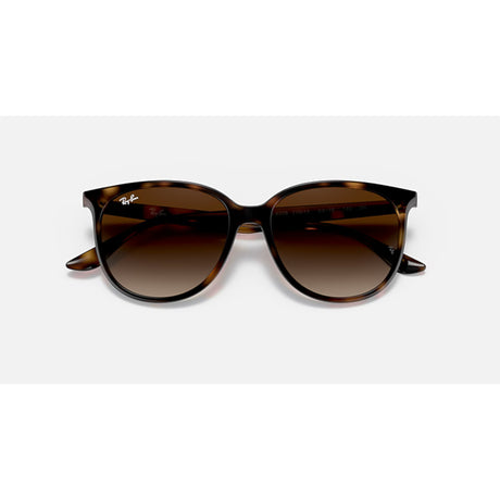 Ray Ban Ray Ban Havana Sunglasses Mens Sunglasses Lifestyle