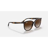 Ray Ban Ray Ban Havana Sunglasses Mens Sunglasses Lifestyle