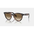 Ray Ban Ray Ban Wayfarer Way Sunglasses - Pink Havana Mens Sunglasses Lifestyle