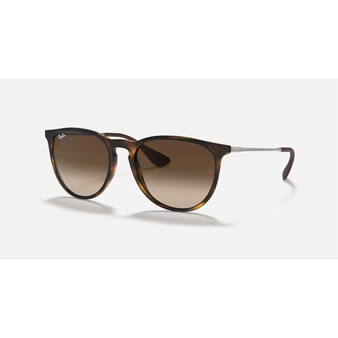 Ray Ban Ray Ban Erika - Unisex Sunglasses Mens Sunglasses Lifestyle