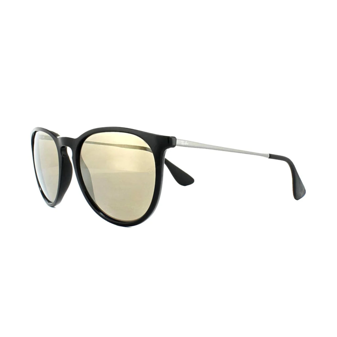 Ray Ban Ray Ban Erika - Unisex Sunglasses Mens Sunglasses Lifestyle