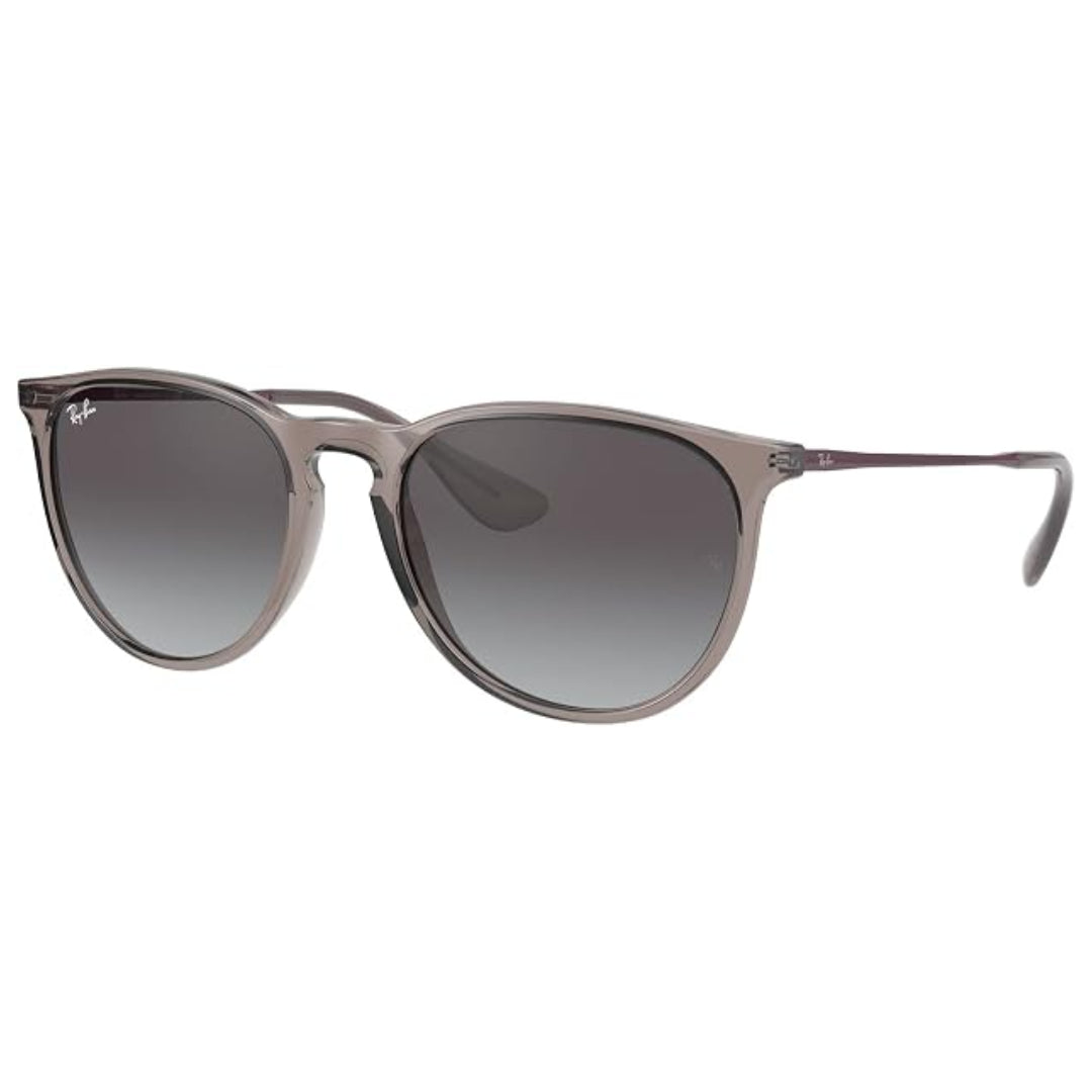 Ray Ban Ray Ban Erika - Unisex Sunglasses Mens Sunglasses Lifestyle