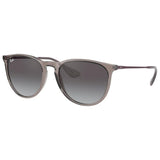 Ray Ban Ray Ban Erika - Unisex Sunglasses Mens Sunglasses Lifestyle