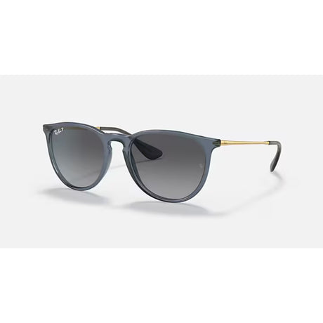 Ray Ban Ray Ban Erika - Unisex Sunglasses Mens Sunglasses Lifestyle